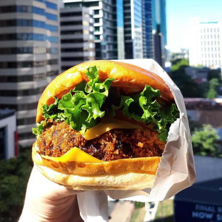 58793314_293708461509097_4406105497543901184_n