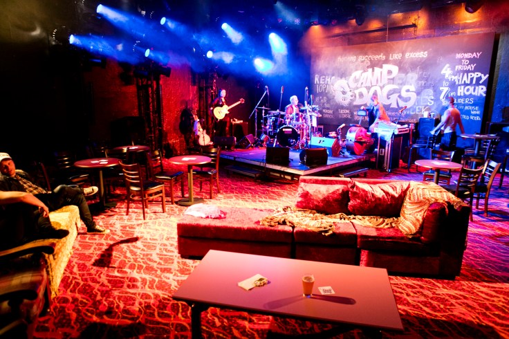 BELVOIR_BarbaraAndTheCampDogs_PhotoBrettBoardman_C1_6115 - Copy.jpg