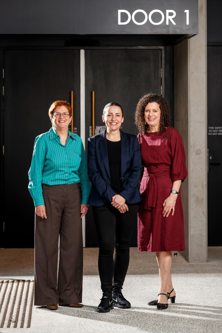 Elizabeth Jameson, Lee Lewis, and Amanda Jolly